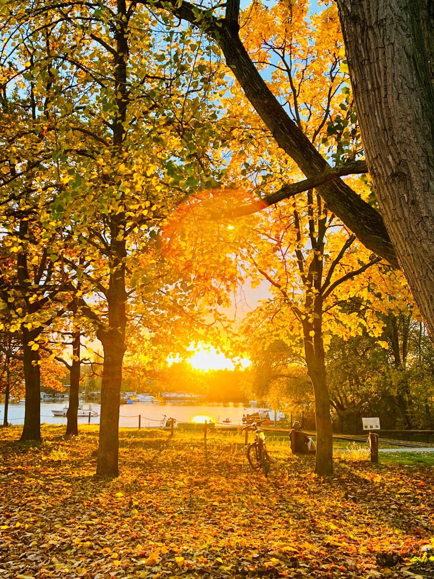 Schoene Aussichten Mitten In Berlin - Il Sole Dış mekan fotoğraf